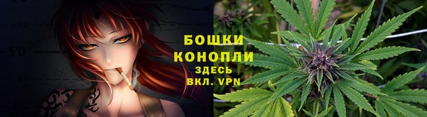 ГАЛЛЮЦИНОГЕННЫЕ ГРИБЫ Волоколамск