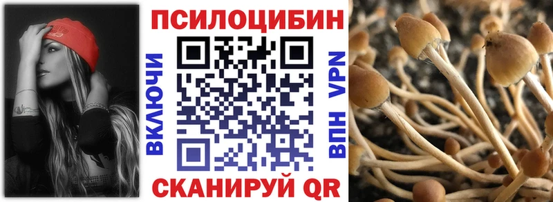 Псилоцибиновые грибы Psilocybine cubensis  где купить   Королёв 